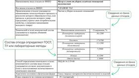 Что включает в себя паспорт в Пандора