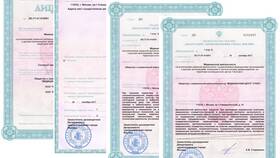 Как называется справка для больничного листа в Пандора