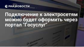 Как оформить подключение электроэнергии через Госуслуги в Пандора