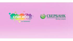 Как оплатить бонусами Спасибо в Детском мире в Пандора