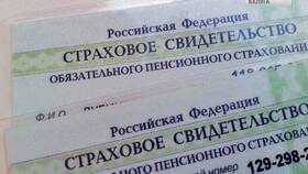 Как отказаться от СНИЛС в Пандора