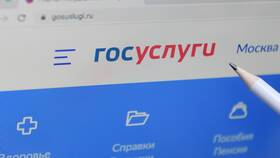 Как подать заявление через портал Госуслуги в Пандора