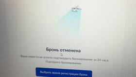 Как подать заявление на регистрацию через Госуслуги в Пандора