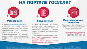 Как подтвердить учетную запись Госуслуг для услуг ГИБДД в Пандора