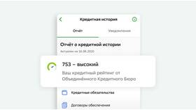 Как получить кредитную историю в Пандора