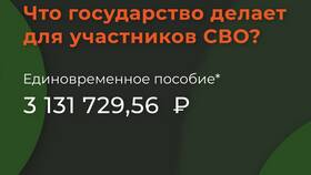 Как получить выплату по категории Д в Пандора