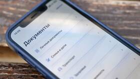 Как посмотреть трудовой стаж на Госуслугах в Пандора