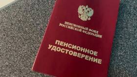 Как посмотреть трудовой стаж в пенсионном фонде в Пандора
