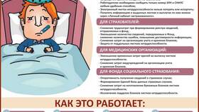 Как позвонить в ФСС по вопросам выплат по больничному листу в Пандора