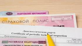 Как проверить наличие полиса ОСАГО в Пандора