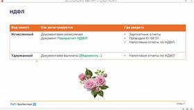 Как проверить отражение удержанного НДФЛ в Пандора