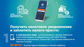 Как сохранить декларации из личного кабинета налогоплательщика в Пандора