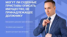 Как судебные приставы накладывают арест на имущество в Пандора