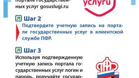 Как узнать количество пенсионных баллов через Госуслуги в Пандора