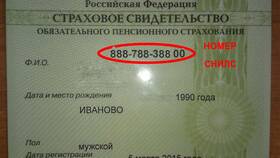 Как узнать номер СНИЛС без Госуслуг в Пандора