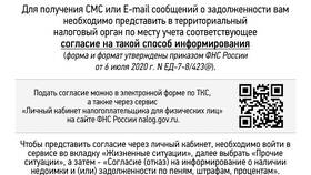 Как вернуть НДС юридическим лицам из налоговой в Пандора