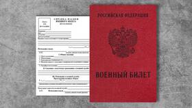 Как выглядит справка на оружие в Пандора