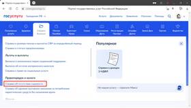Как заказать справку об отсутствии судимости через Госуслуги в Пандора