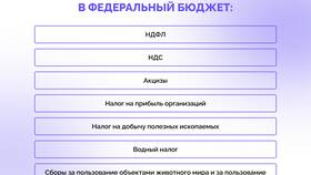 На что идет НДФЛ в России в Пандора