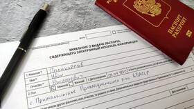 Номер паспорта: что вводить