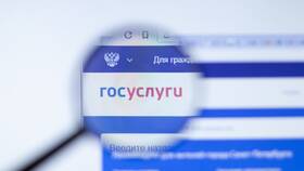 Почему не приходит СНИЛС на Госуслуги в Пандора