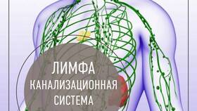 Почему система выводит в Пандора