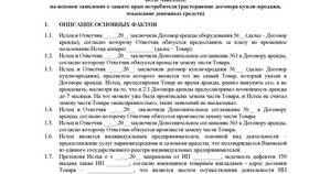 Подал исковое заявление: что делать дальше в Пандора