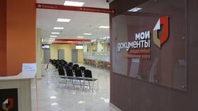 Причины большого количества иностранцев в МФЦ в Пандора