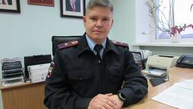 РЭГ ГИБДД: что это и для чего используется в Пандора